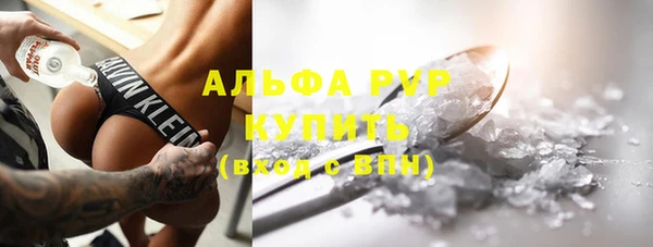 СК Алзамай