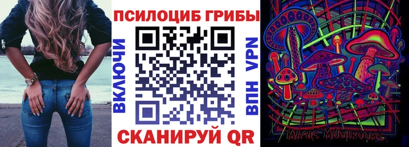 Галлюциногенные грибы GOLDEN TEACHER Ковылкино